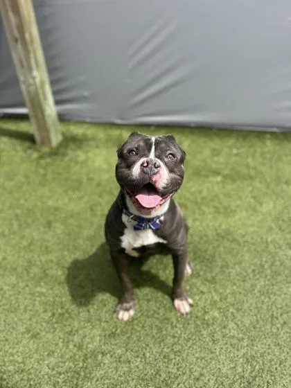 Bob Barker thumbnail 2