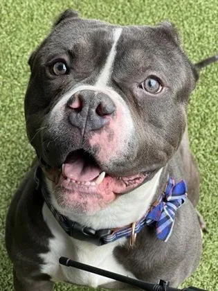 Bob Barker thumbnail 3