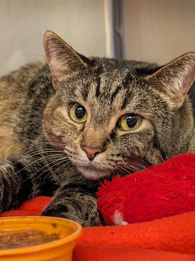 Taylor Aka Lily thumbnail 2