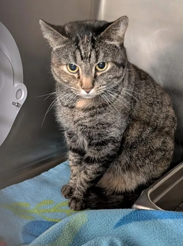 Taylor Aka Lily thumbnail 4