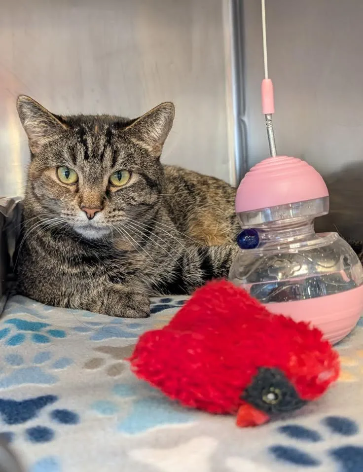 Taylor Aka Lily thumbnail 5