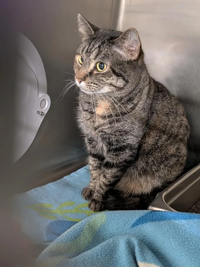 Taylor Aka Lily thumbnail 6