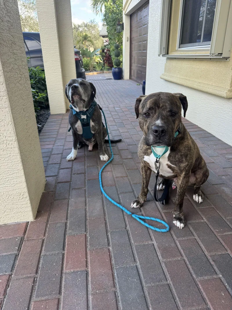 Speckles thumbnail 2