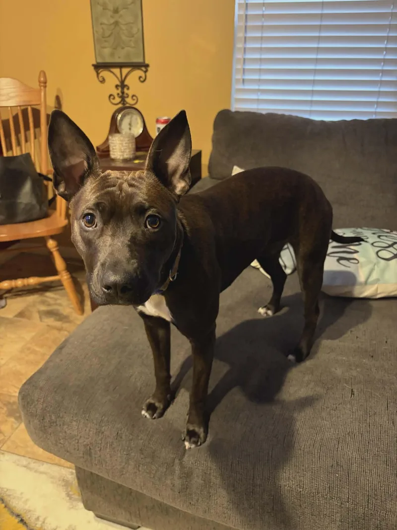 Vera Courtesy thumbnail 2