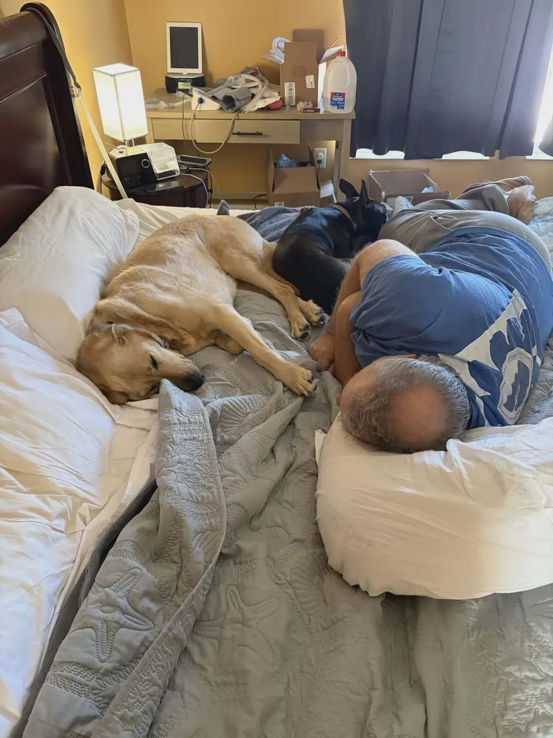 Vera Courtesy thumbnail 3