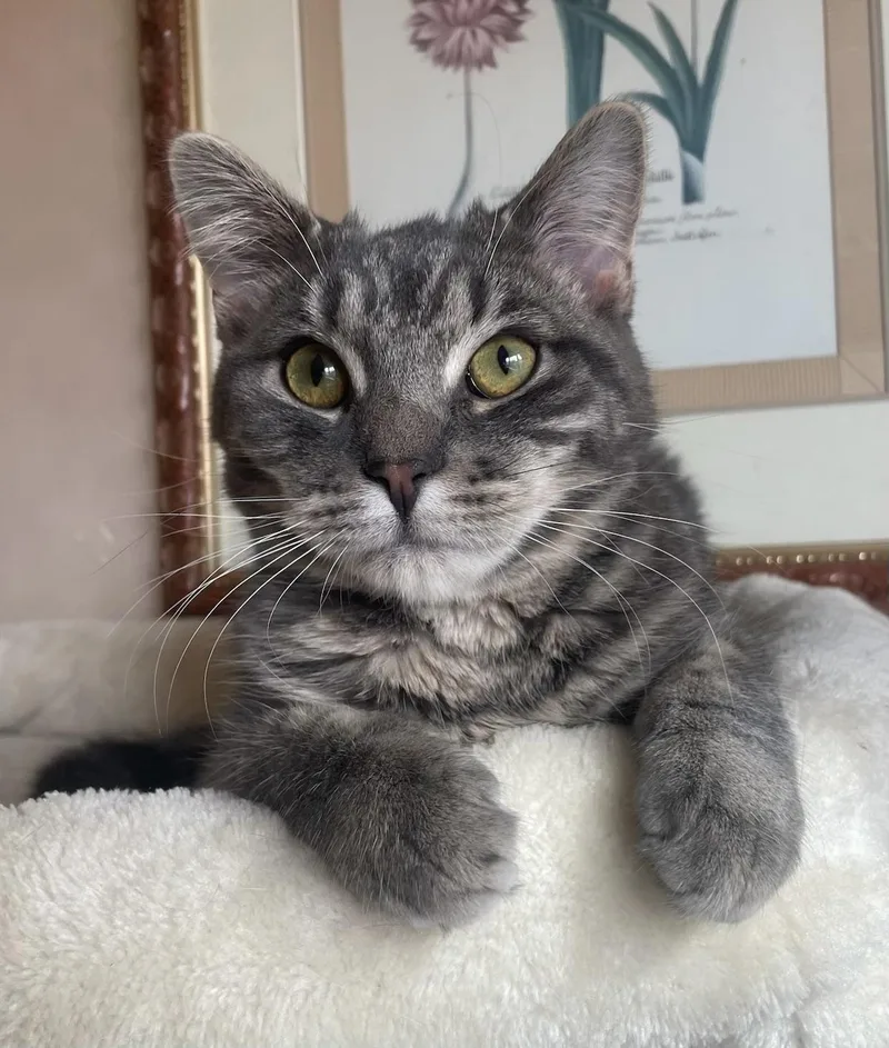 Porta & Jenks thumbnail 3