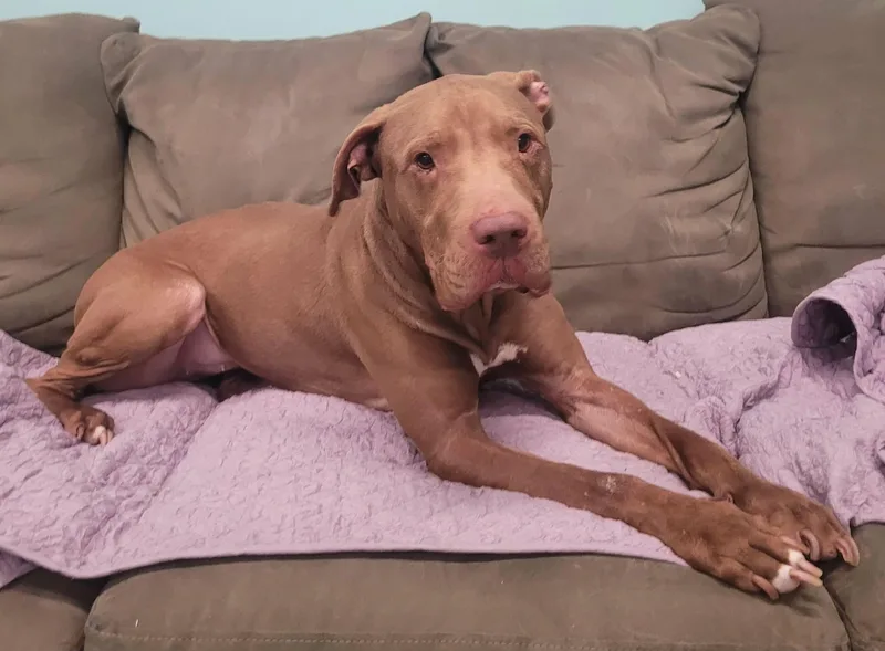 Zeva! Lovely Lady! thumbnail 3