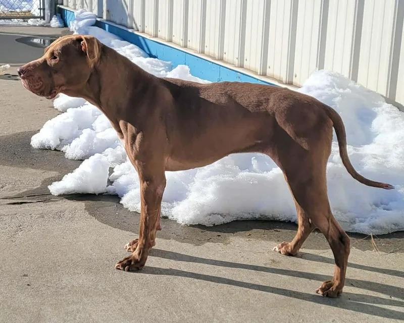 Zeva! Lovely Lady! thumbnail 4