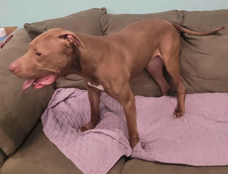 Zeva! Lovely Lady! thumbnail 5