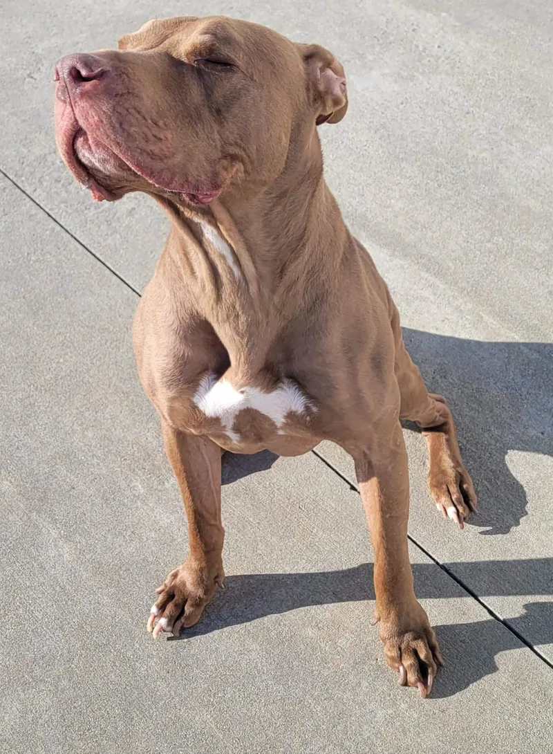 Zeva! Lovely Lady! thumbnail 6