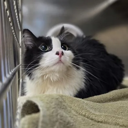 Kentucky thumbnail 2