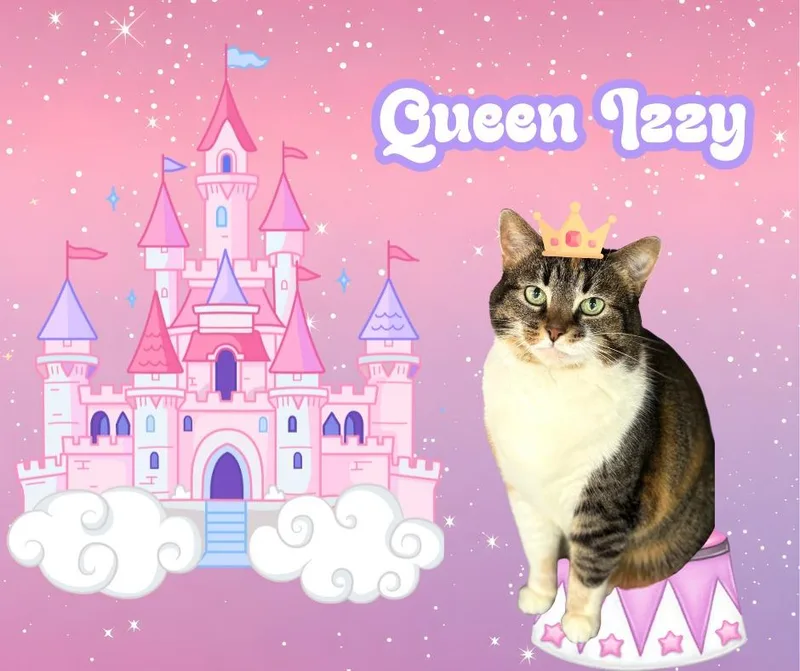 Izzy thumbnail 4