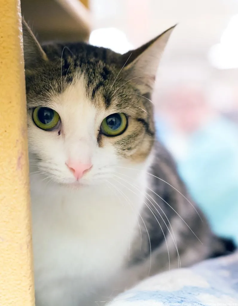 Marceline thumbnail 2