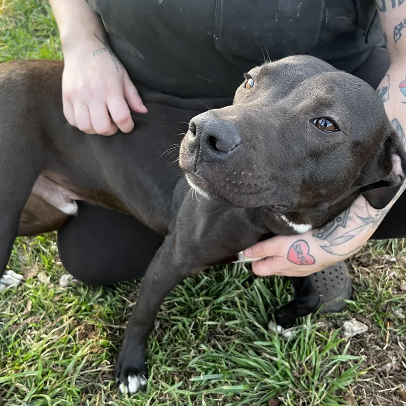 Blake Junior thumbnail 2