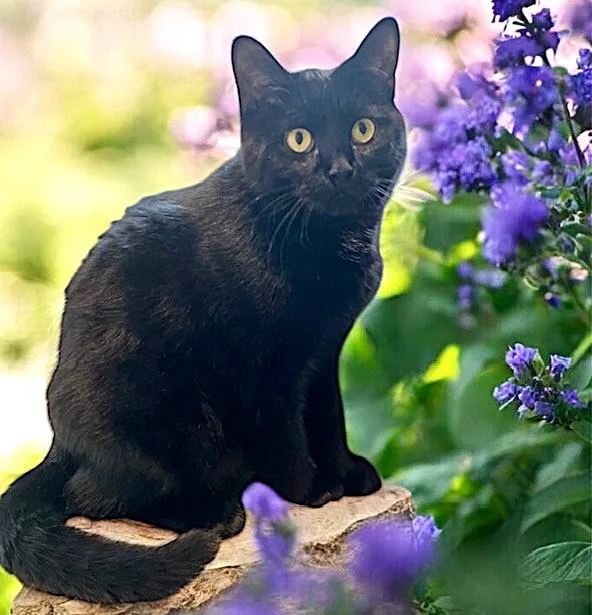 Olivia & Orlando  thumbnail 2