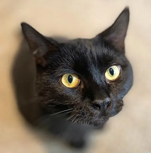 Olivia & Orlando  thumbnail 3