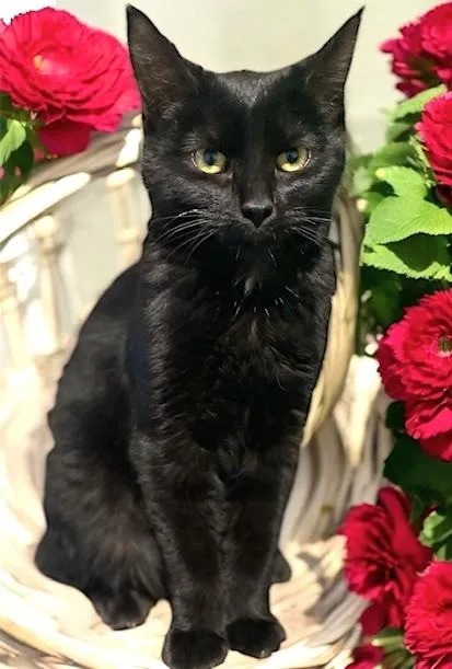 Olivia & Orlando  thumbnail 6