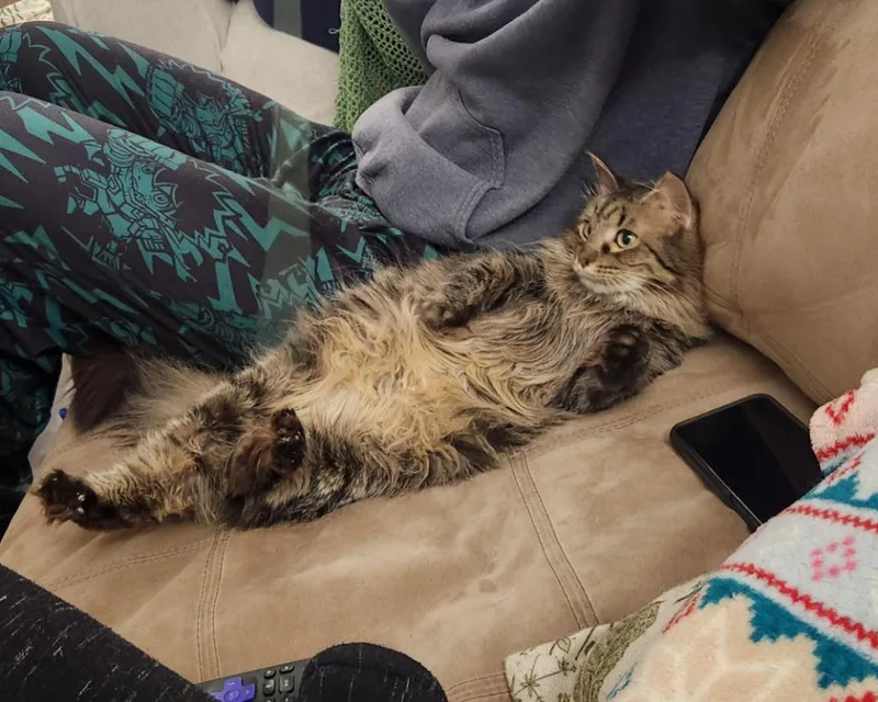 Darling Dixie  Mister thumbnail 3