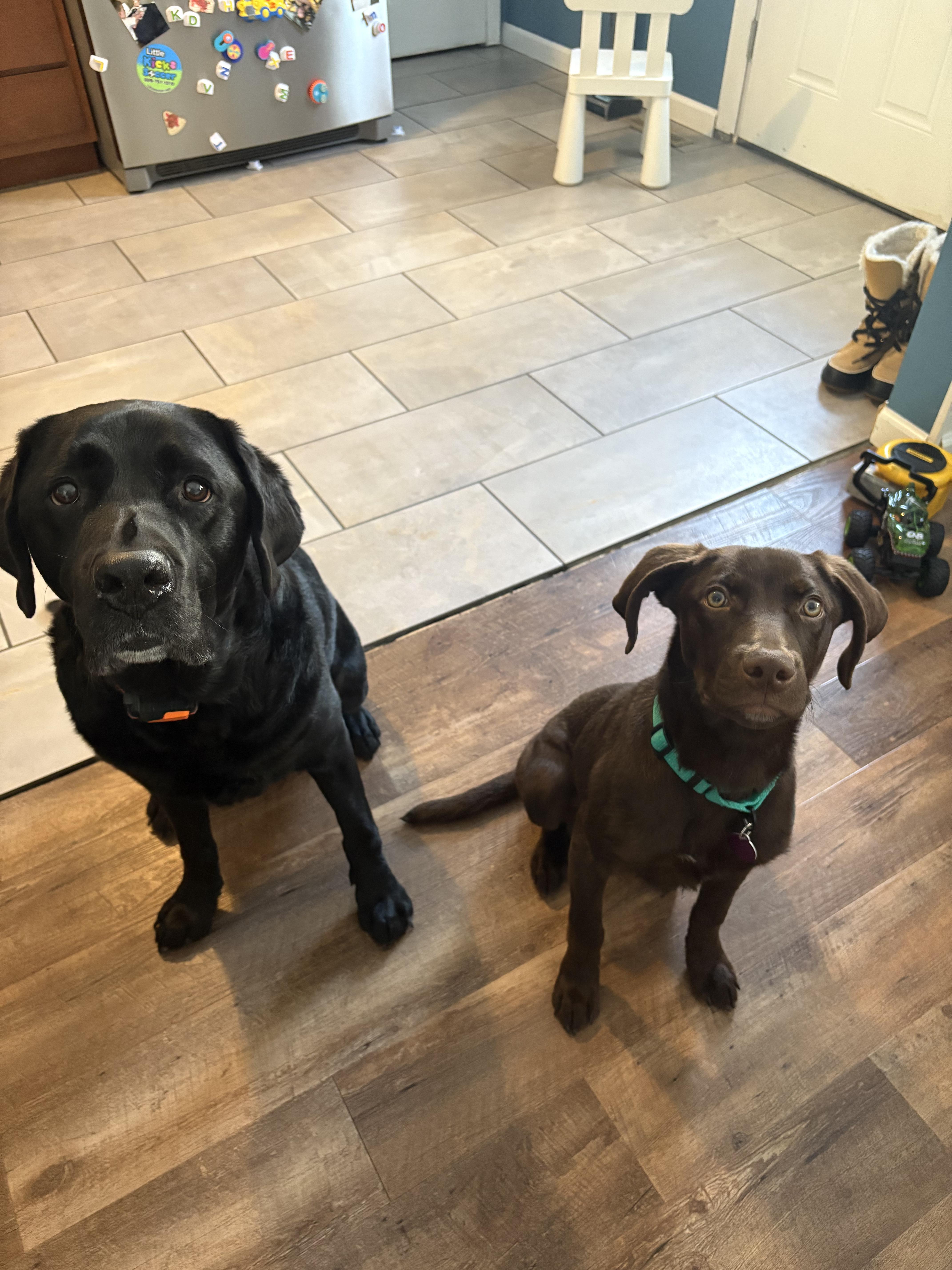 Frito Burrito thumbnail 3