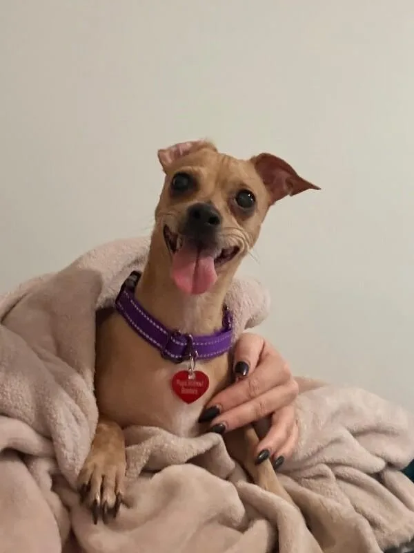 Mama Brandy thumbnail 2