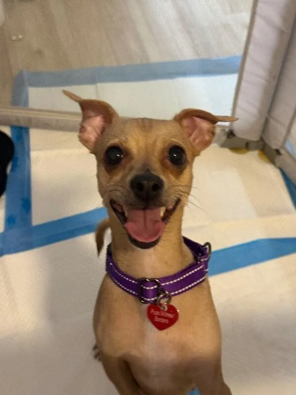 Mama Brandy thumbnail 3