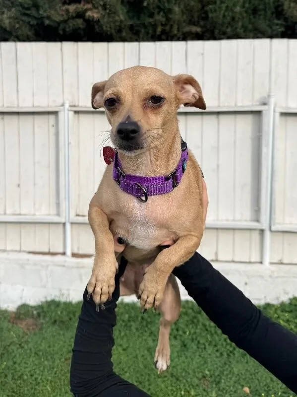 Mama Brandy thumbnail 5