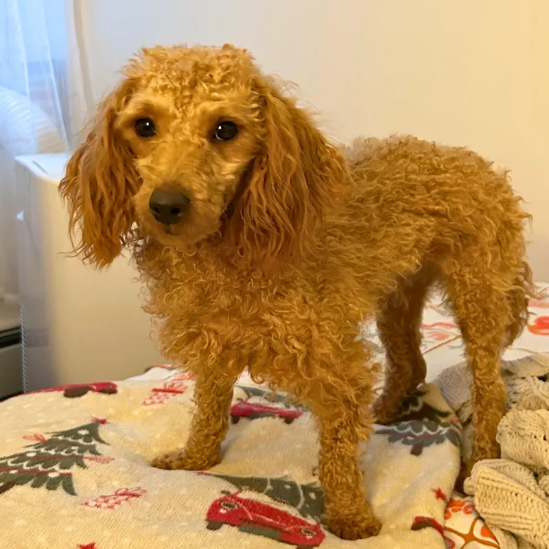 Nineties thumbnail 2