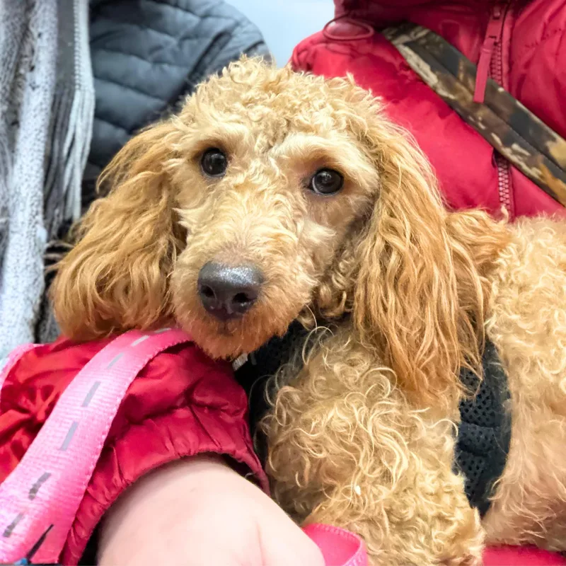 Nineties thumbnail 3