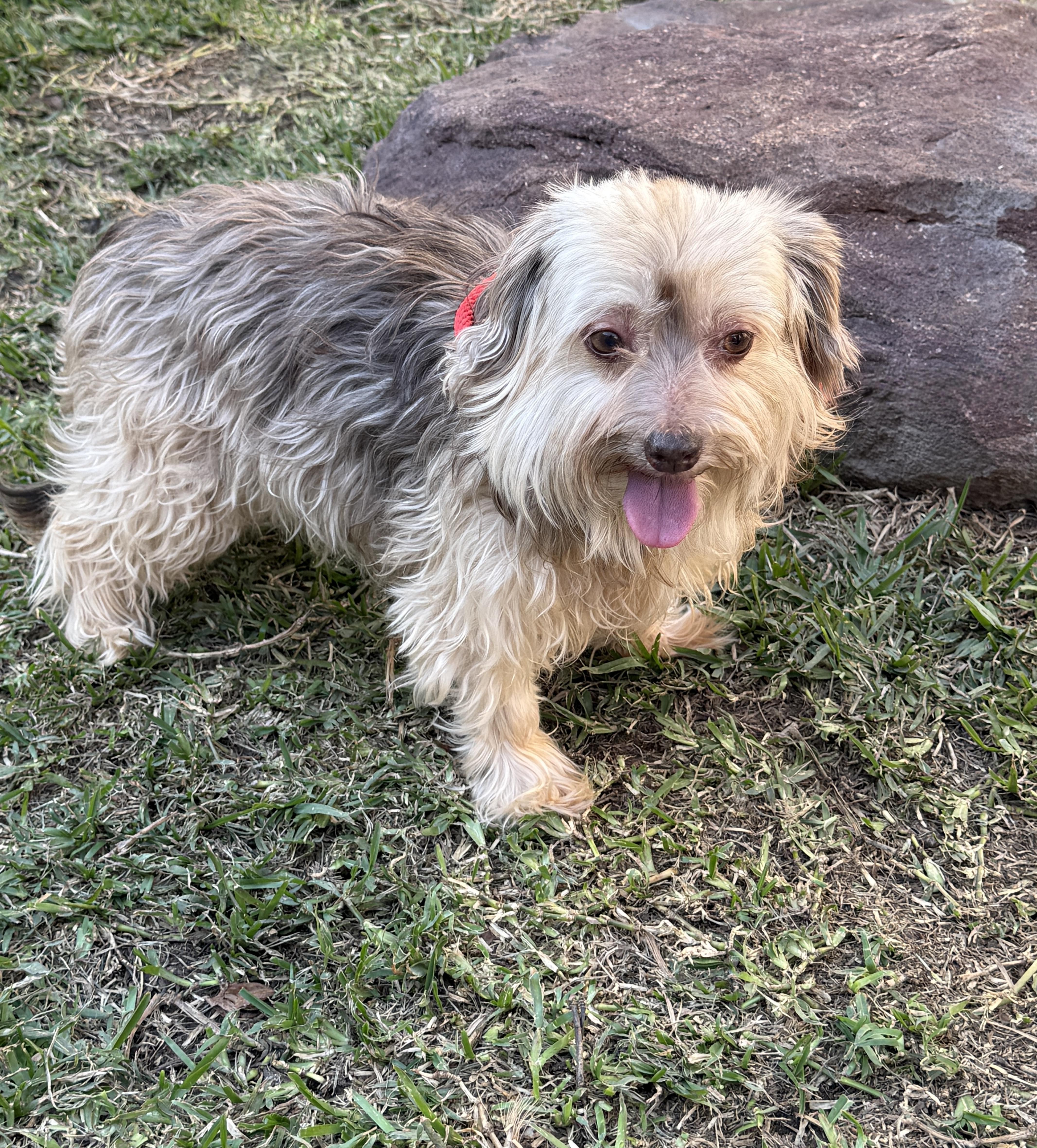 Marcella Aka Marci thumbnail 2