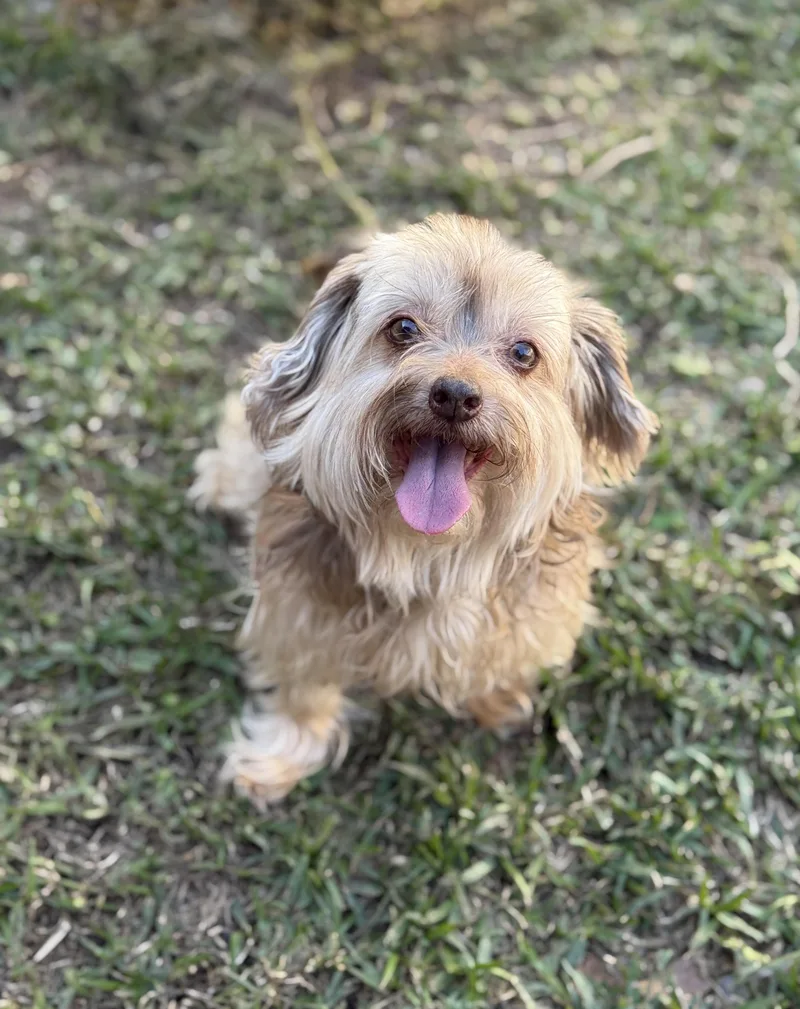 Marcella Aka Marci thumbnail 3