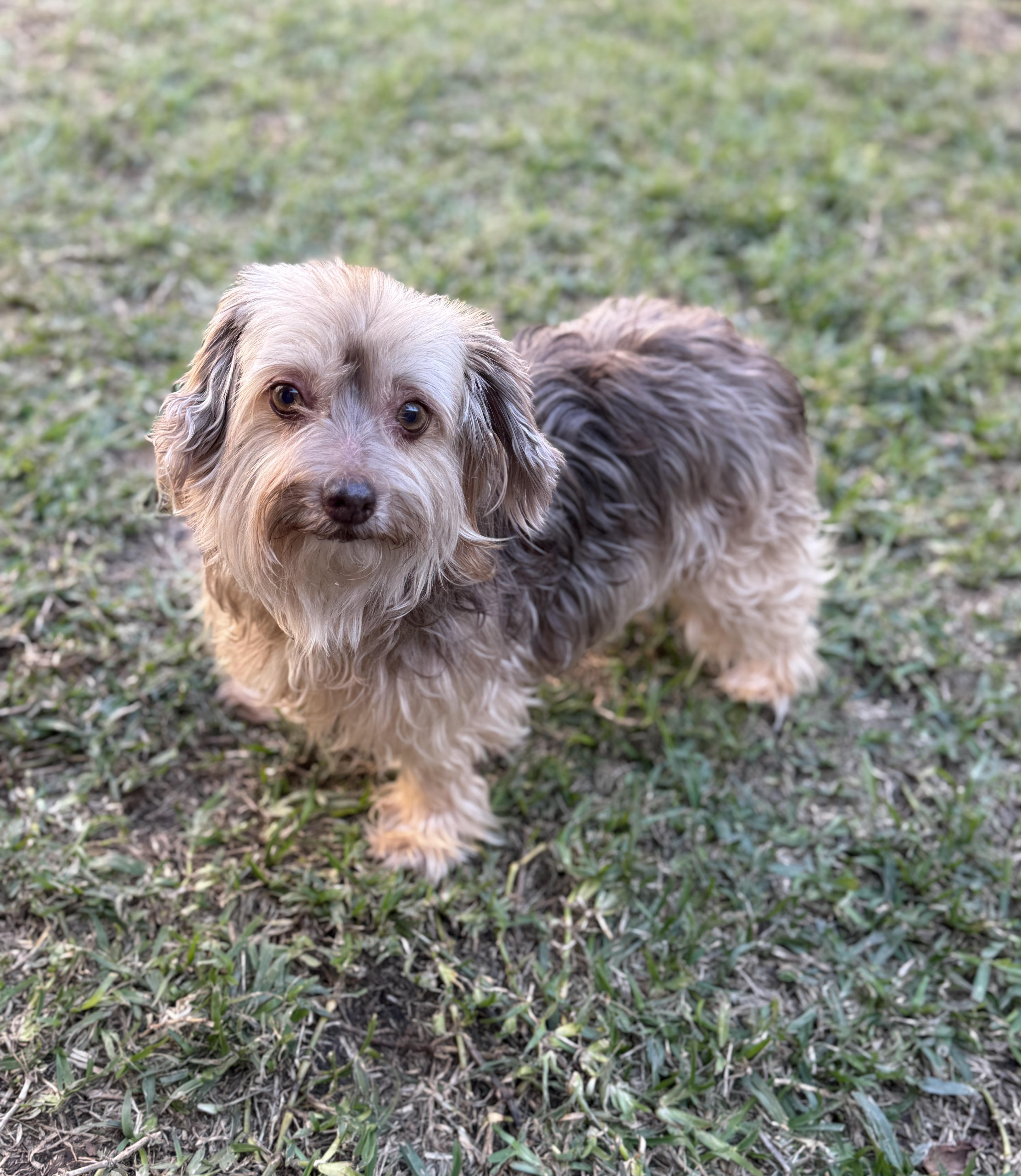 Marcella Aka Marci thumbnail 4