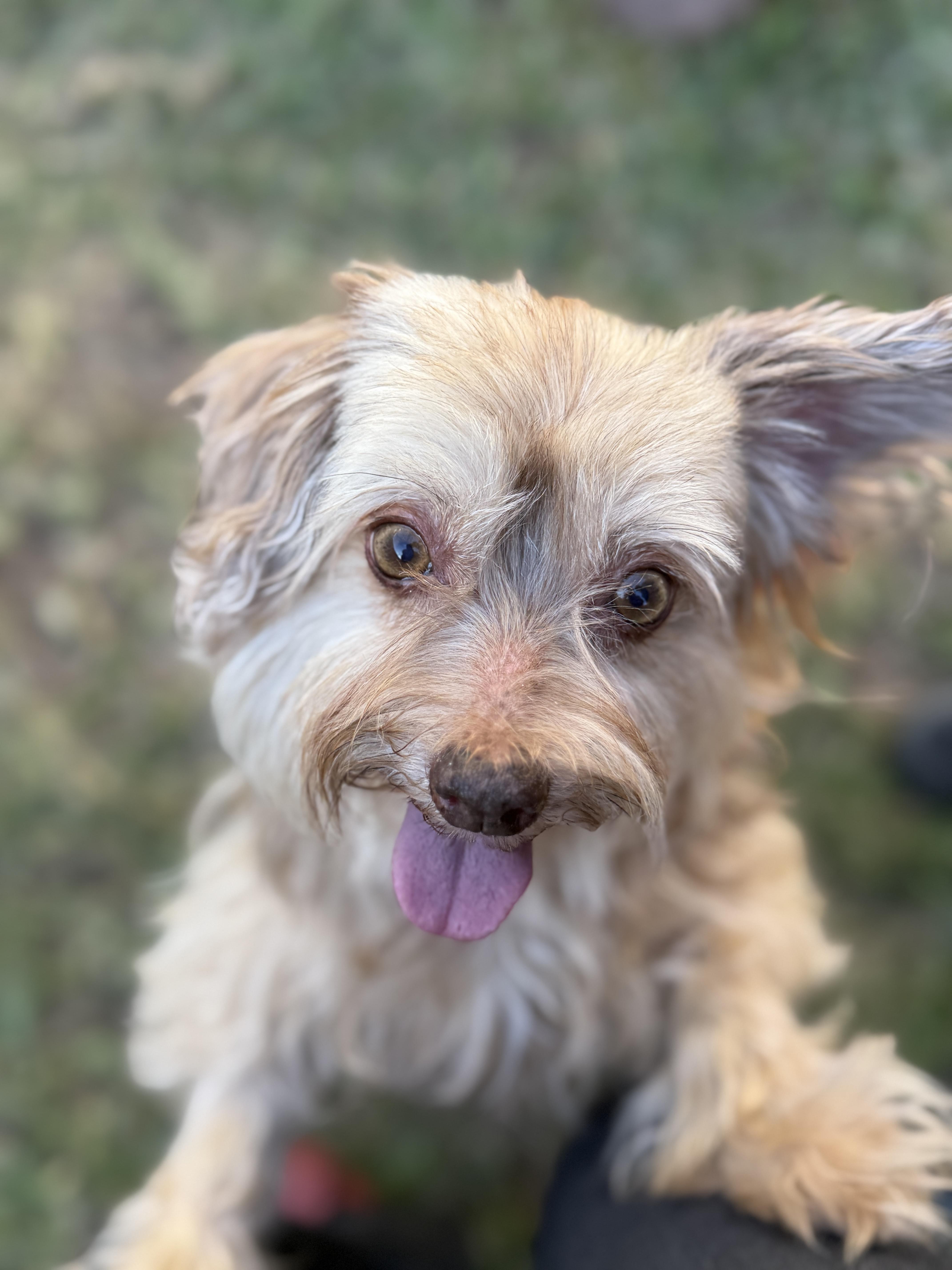 Marcella Aka Marci thumbnail 5