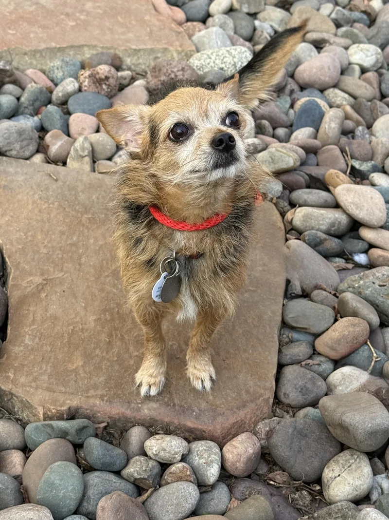 Philippe thumbnail 2