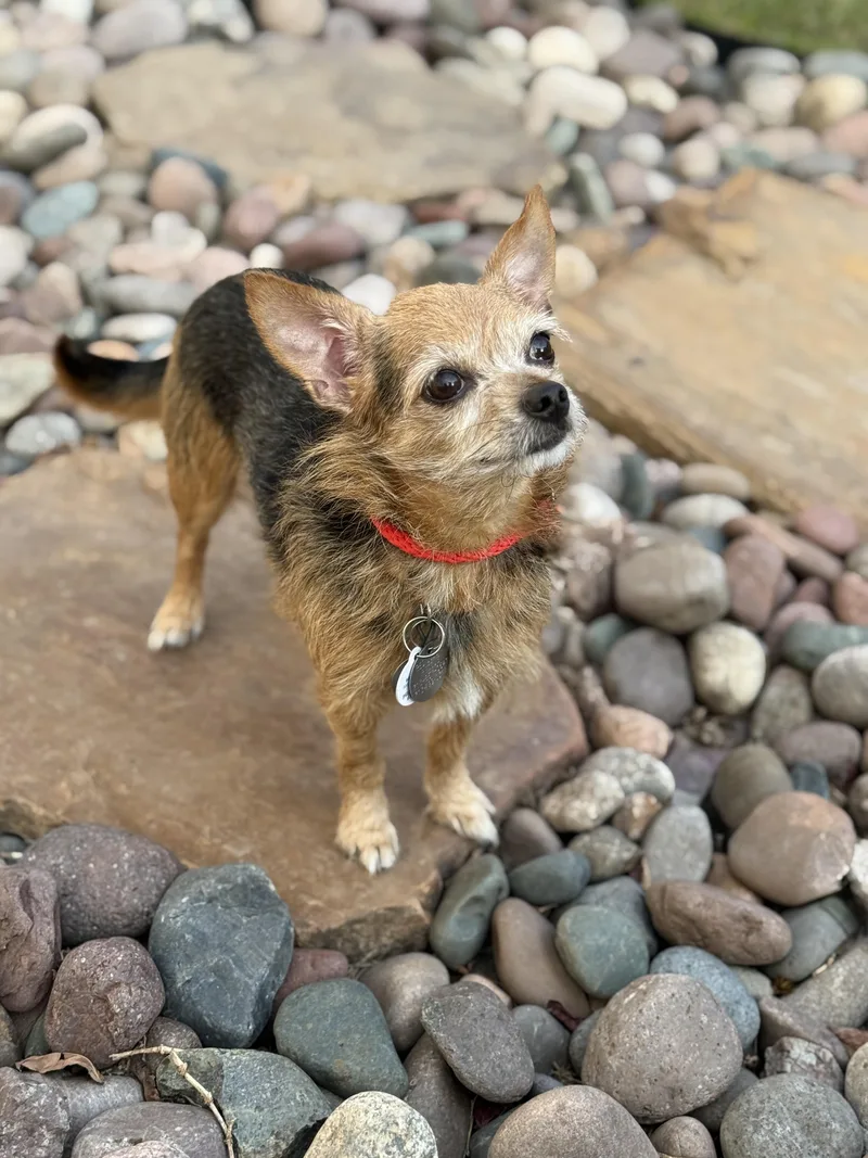 Philippe thumbnail 3