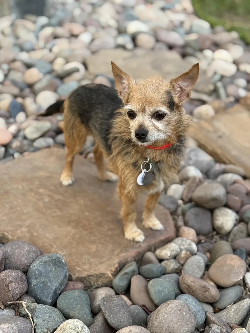 Philippe thumbnail 4