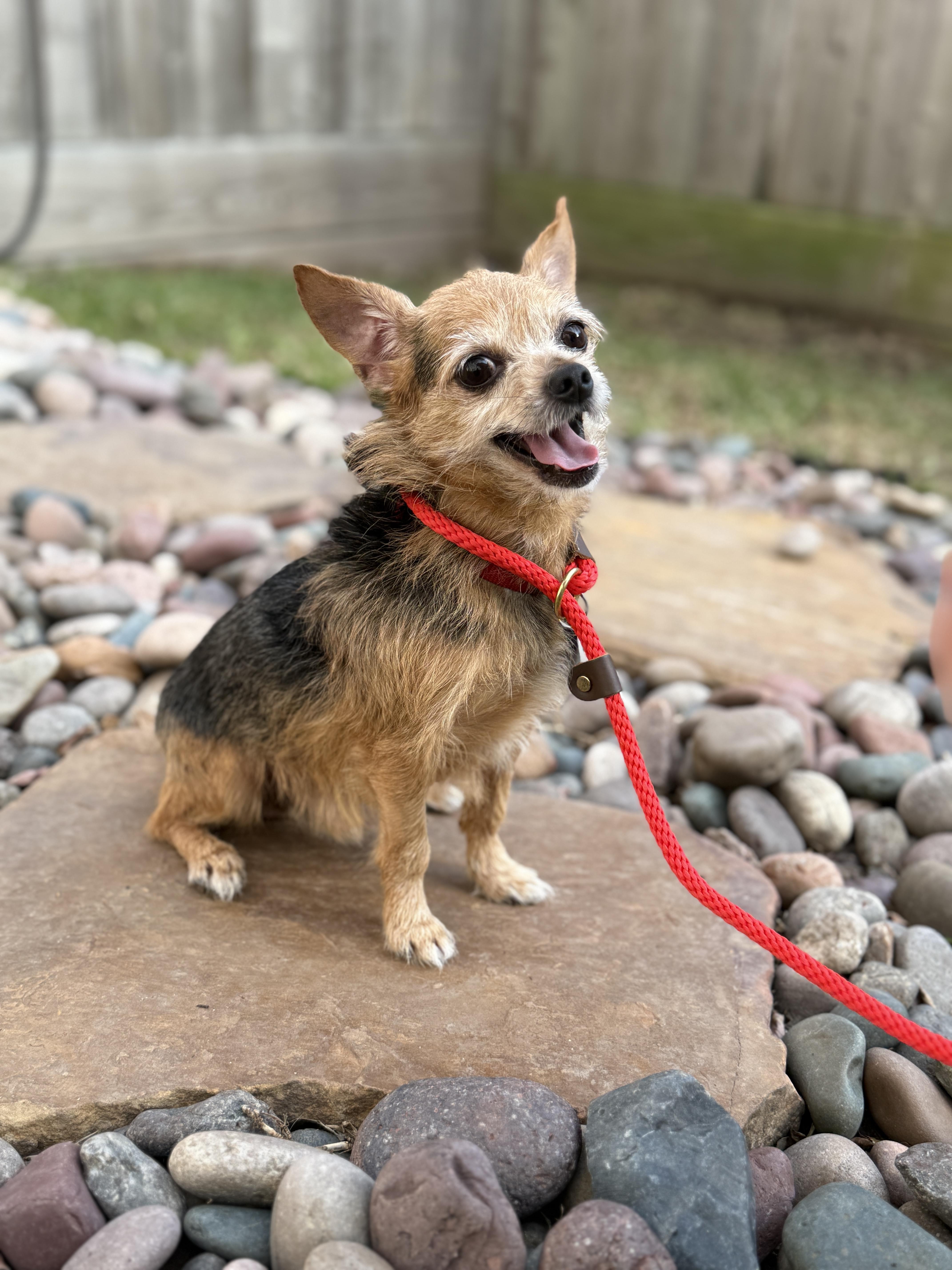 Philippe thumbnail 5