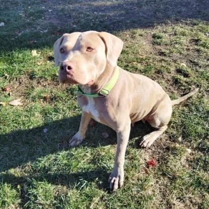 Princess Fiona thumbnail 5