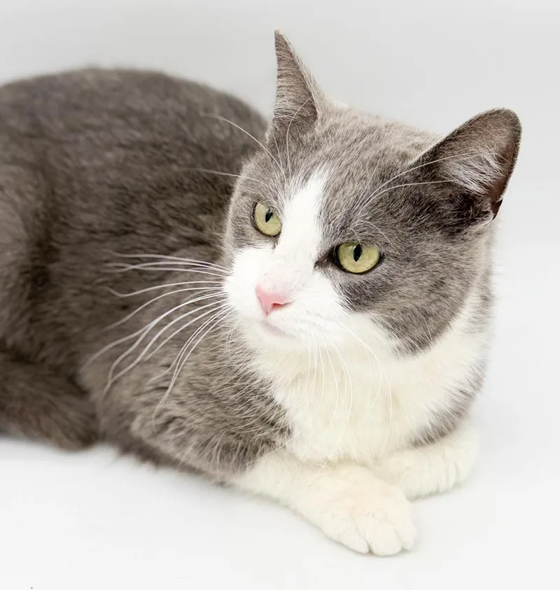 Pandora Is Well... Precious! photo 1