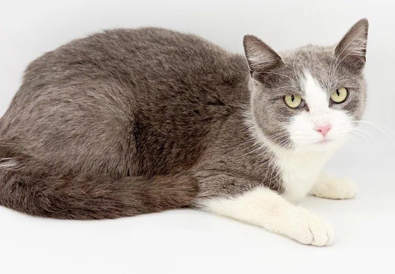 Pandora Is Well... Precious! thumbnail 2