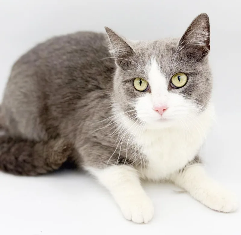 Pandora Is Well... Precious! thumbnail 3