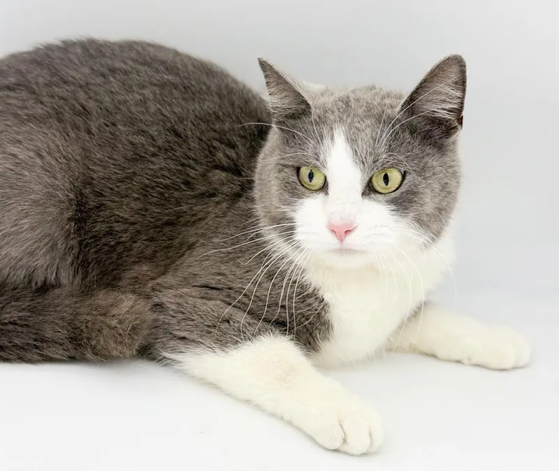 Pandora Is Well... Precious! thumbnail 4