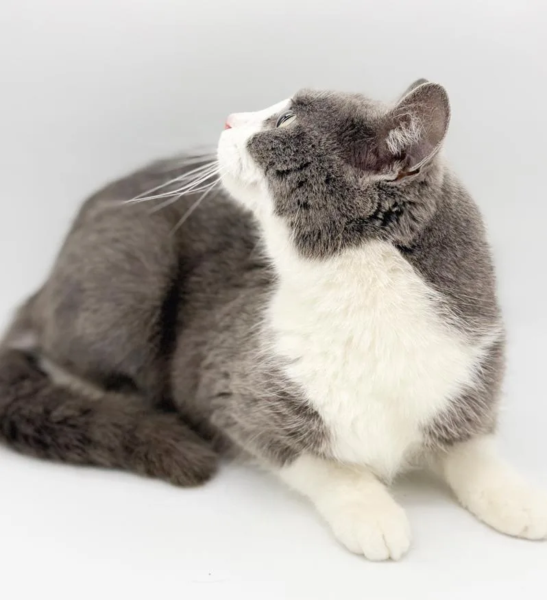 Pandora Is Well... Precious! thumbnail 5