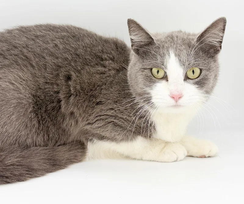 Pandora Is Well... Precious! thumbnail 6