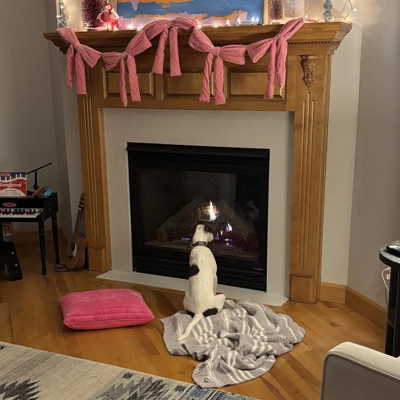 Sugar Socks D thumbnail 2