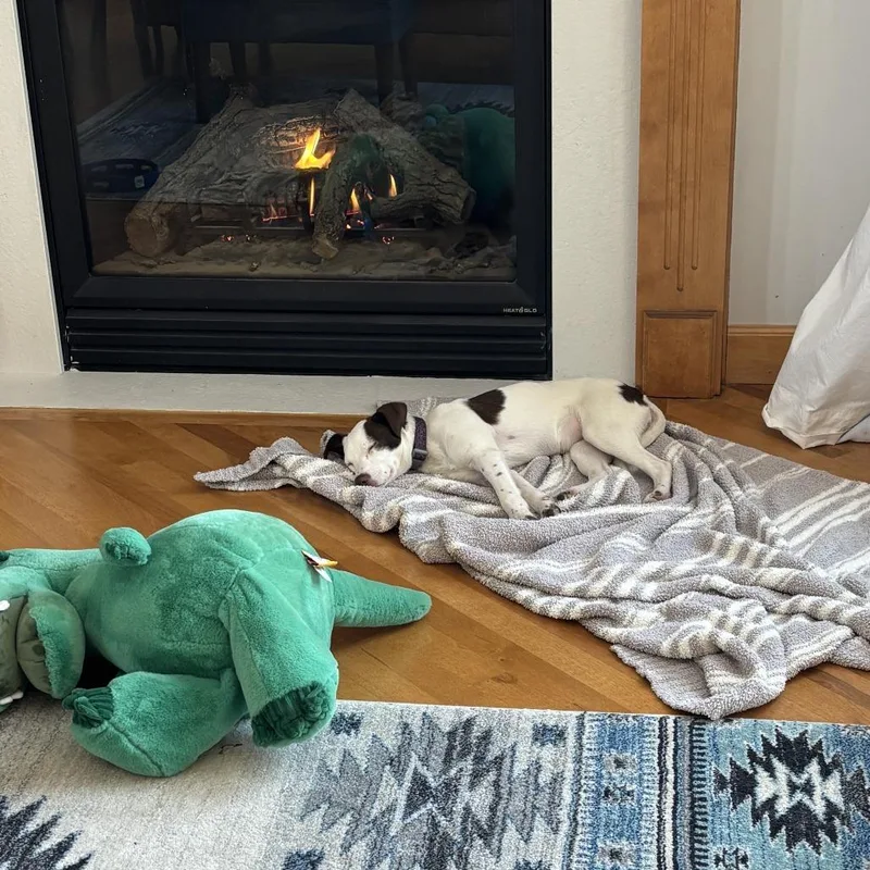 Sugar Socks D thumbnail 3