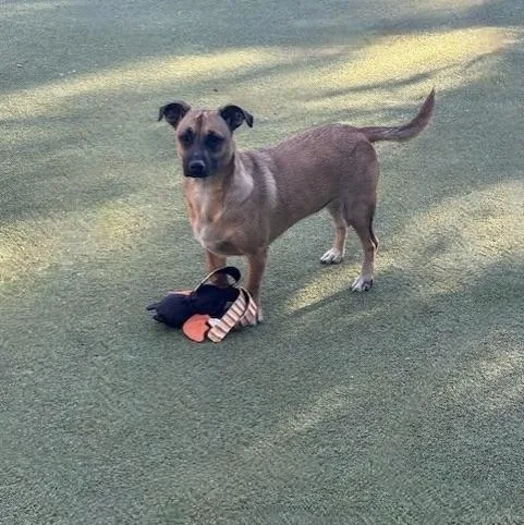 Chiquita thumbnail 2