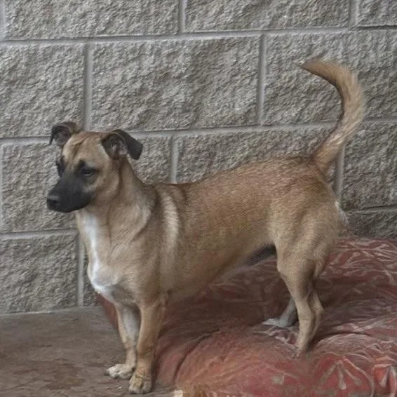 Chiquita thumbnail 3