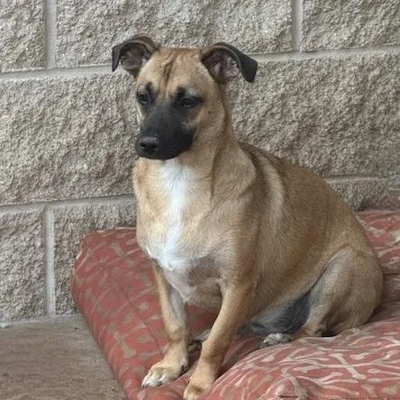 Chiquita thumbnail 5