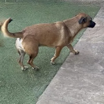 Chiquita thumbnail 6