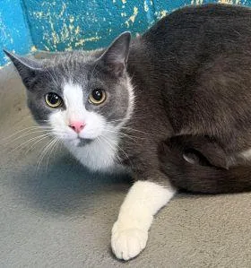 Hercules thumbnail 2